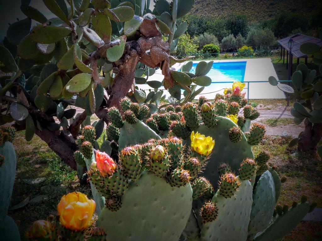 Agriturismo Timpa Del Sole Villa Noto Luaran gambar